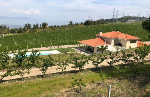 Quinta BEMBOA Turismo Espaço Rural - Foto 22