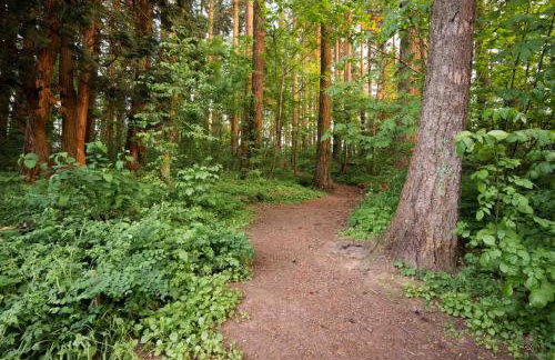 Kanate Timber - Photo 19