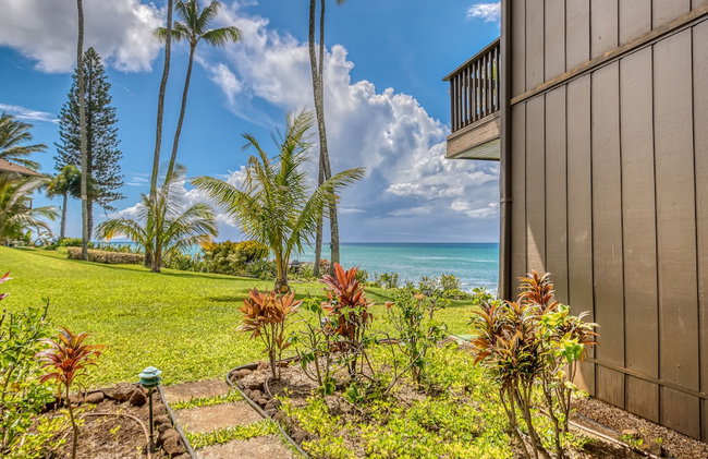 Mahina Surf - Foto 47