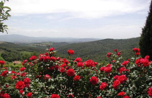 Casa Guaitoli - Foto 89