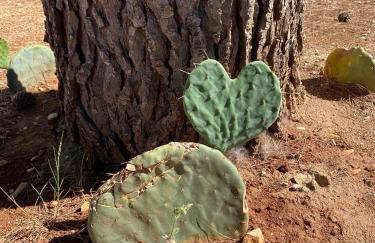 Villa Jalan - Foto 64