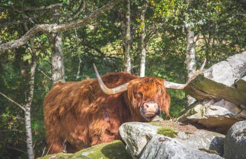 Glenmore Lodge - Foto 11