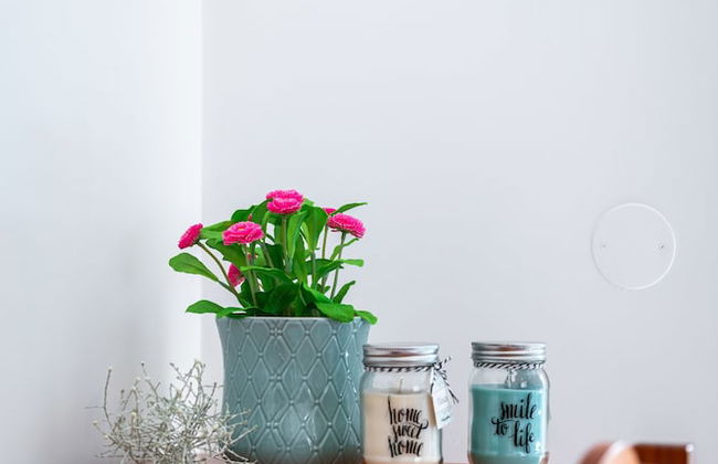 Flôr da Laranja, Albufeira - Foto 8