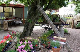 Pintail Apartment Bamburgh - Foto 28