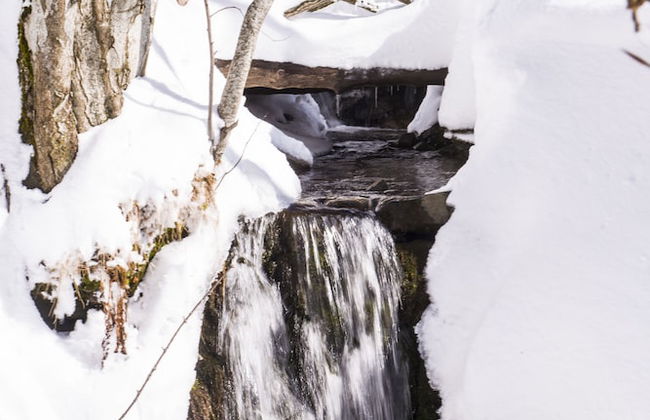 Il Borgo Dei Celti - Foto 79