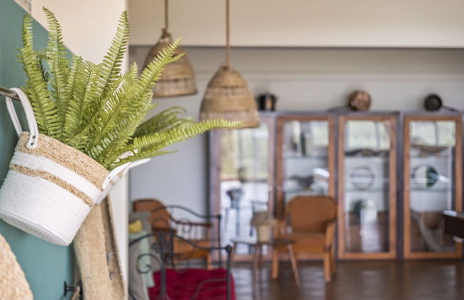 Casas do Sal o - Mangerona by Madeira Sun Travel - Foto 19