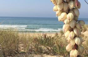 ARCACHON appartement T2 51M2 et parking privatif en sous sol - Foto 13