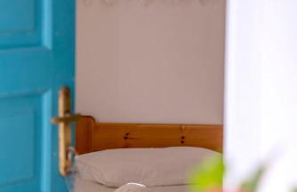 Argo-studios - Foto 41