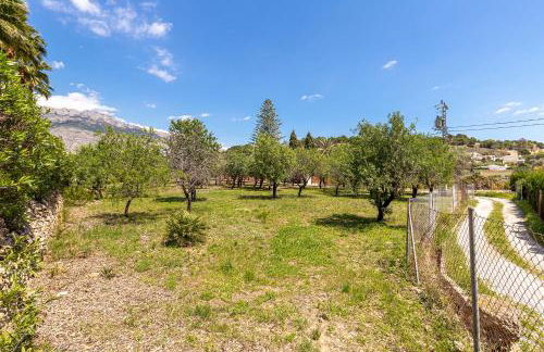 Finca Nora - Photo 18