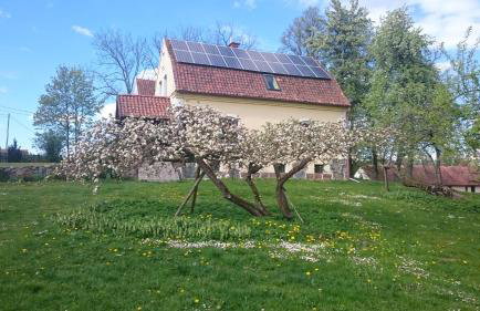 Dworek Szarki - Foto 12