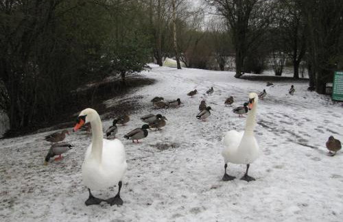 Lakeview Holidays - Foto 44