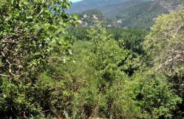 Le Cocon de la Corgne - Foto 11