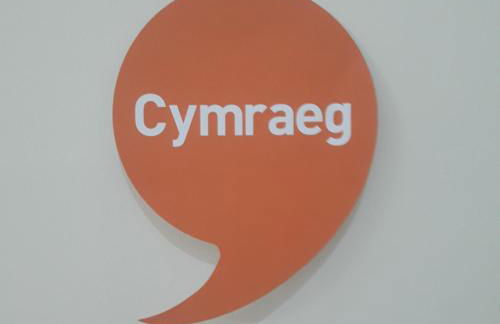 Plas yn Yale with mountain views from all windows - Photo 15