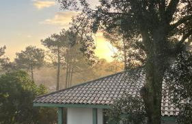 Lanas Natura - Foto 13