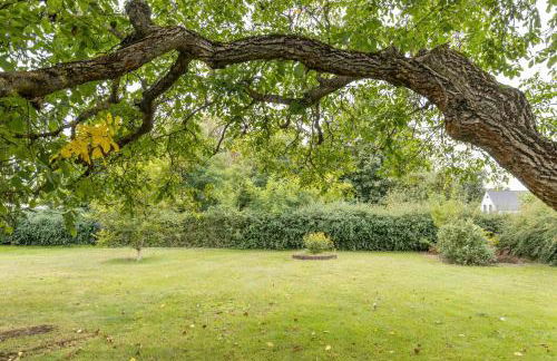 2 Zimmer Ferienwohnung 69 Qm - Foto 23