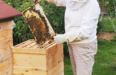 Landhaus Müller - Foto 8