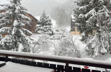 Cosy 2 pièces proche Châtel - Foto 27