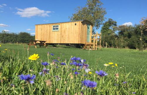 Shepherds Hut 6 - Foto 9