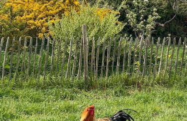 Bohémienne regarde la mer. - Foto 4