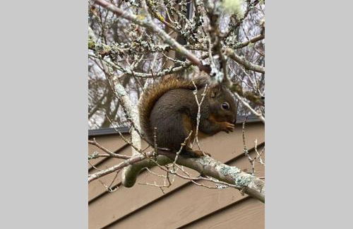 Crash Pad Bed and Breakfast - Foto 61