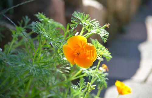 Ferienhaus - Kern - Foto 35