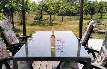 Komfortable Ferienwohnung "Vier Linden", ruhige dörfliche Lage, 20 min zur Küste - Foto 16