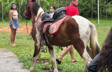 Sitio Águia Beija - Flor - Foto 15
