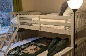 Y Fedw Wen - Foto 39