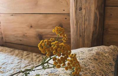 Nad Mikowym Potokiem - wydzielona część drewnianego domu z osobnym wejściem i ogrodem - Foto 50