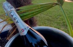 Willa Skrzatusz - Foto 78