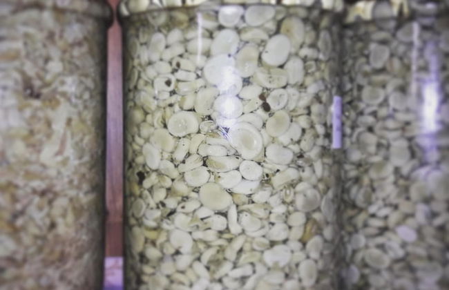 Agriturismo Il Raduno - Foto 22