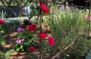 Villa-Agave , by the sea in Porto-Rafti outside Athens - Foto 6