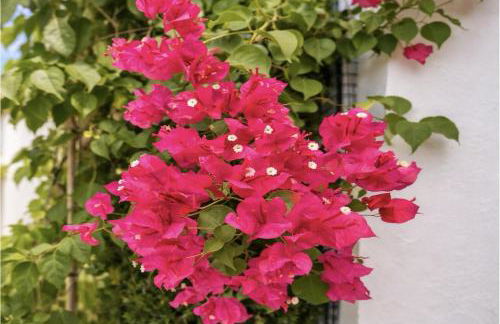 Exclusive Villa Valencia - Denia Els Poblets - Foto 46