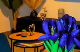 Monte Symphony - Foto 13