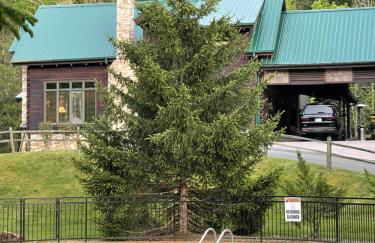 A River Runs Through It - Foto 54