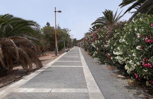 FRAMANTIS App No 6 - Photo 14