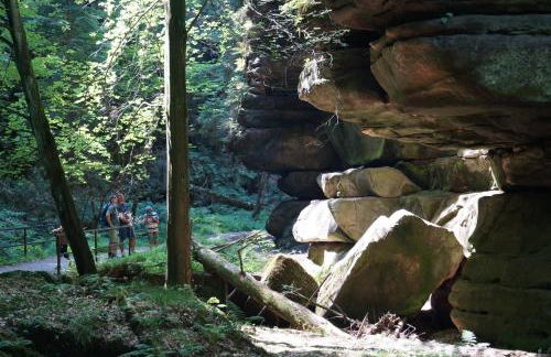 Ferienhaus Flora - Foto 4