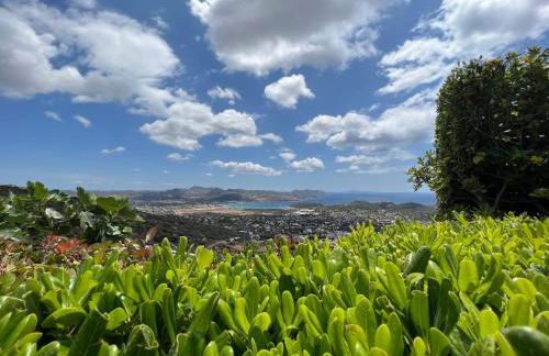 Endless Blue - Photo 65