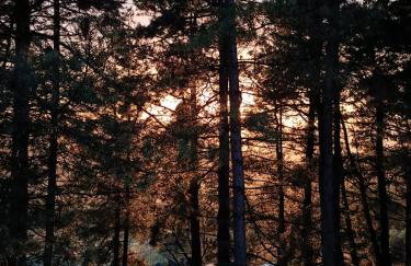 Locanda di Praticino - Foto 6