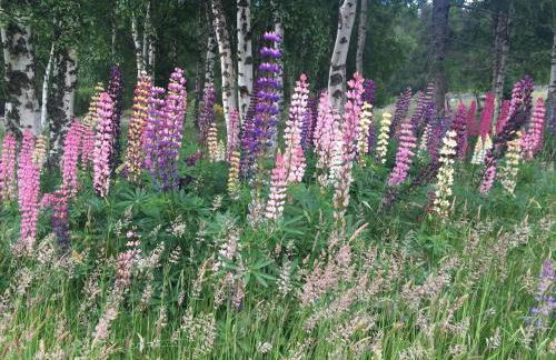 Charming cottage close to the Cairngorms - Foto 6