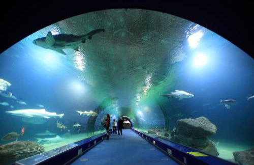 La Vista al mar de Belén - Foto 57