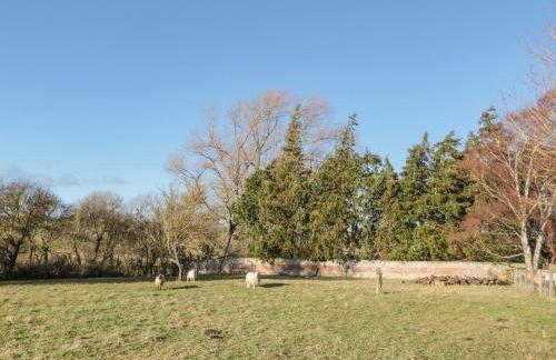 Cherry Studio - Foto 22