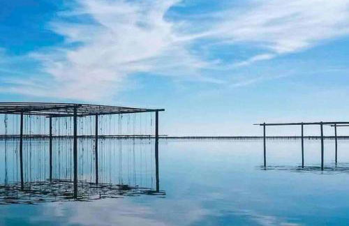 Oasis Cove Côté Étang, accès baignade, proche plage - Foto 6