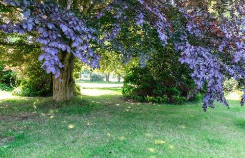 4 Bed in Halesworth oc-willho - Foto 17