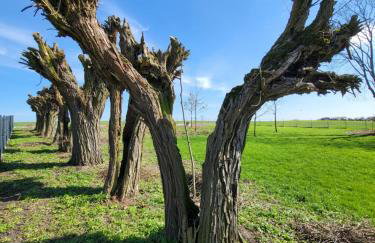 Stary Dom nad Wrześnicą - Foto 57