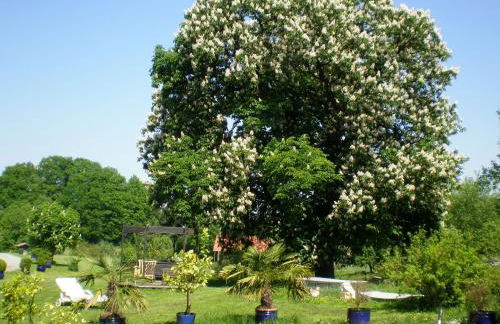 Wampendobler Paradies - Foto 24