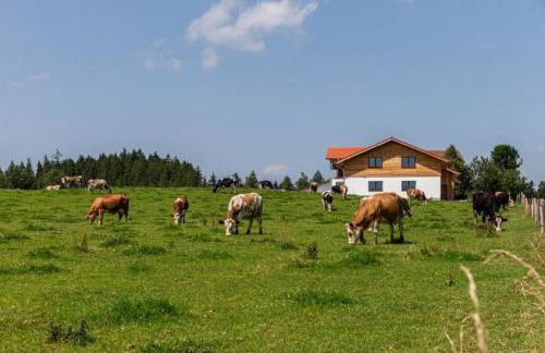 Auszeit Ferienhof - Foto 16