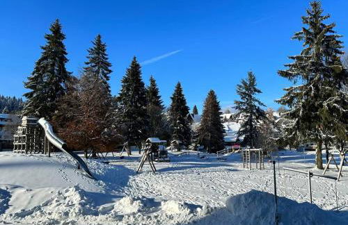 RelaxApartments BLACK FOREST EMOTION mit Sonnenbalkon mit Blick auf den Kurpark, schnelles Internet, Nähe Triberger Wasserfälle, für bis zu 2 Personen - Foto 21
