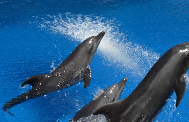 Silver Sands Self Catering - Photo 42