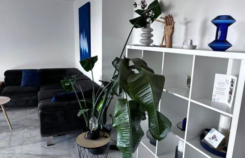 Montpellier Un écrin de lumière pour enchanter votre séjour - Photo 7